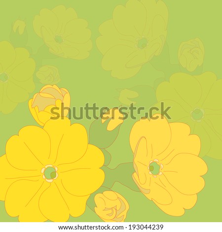 Delicate flowers yellow primrose.