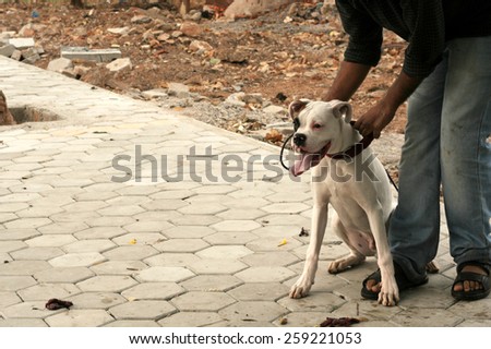 HYDERABAD,INDIA-FEBRUARY 28:People take the pet dog for a walk on the happy roads program (vehicular traffic stopped) on February 28,2015 in Hyderabad,India.
