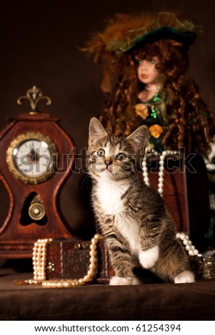 Small kitten sitting and looking curious against the brown background with the clock and vintage doll