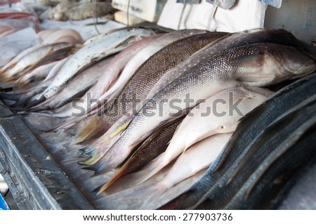 Various Fresh Ocean Fish for Sale in the Market in Rio de Janeiro