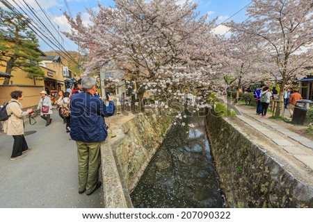 KYOTO - APR 8: Tourists enjoy cherry blossom at Path of Philosophy on Apr 8, 14 in Kyoto. It is a pedestrian path that follows a cherry-tree-lined canal in Kyoto, between Ginkaku-ji and Nanzen-ji.
