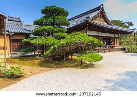 KYOTO, JAPAN - APR 8: Big bonsai tree Kinkaku-ji temple on Apr 8, 14 in Kyoto. It is a Zen Buddhist temple in Kyoto, the garden complex is an excellent example of Muromachi period garden design.