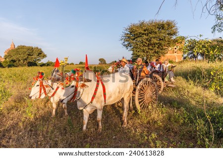 BAGAN, MYANMAR - DEC 6: Tourtists and cow cart on Dec 6, 2014 in Bagan. It is one of the popular transportation for tourist to visit pagoda in Bagan.