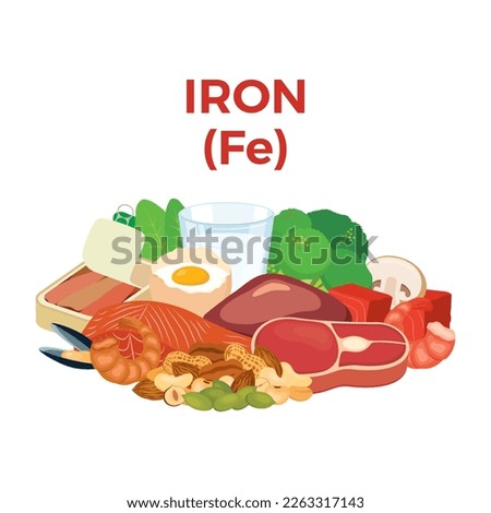 Iron (Fe) in food icon vector. Iron food sources vector illustration isolated on a white background. Meat, beef, seafood, nuts, seeds, vegetables vector. Pile of healthy fresh food drawing