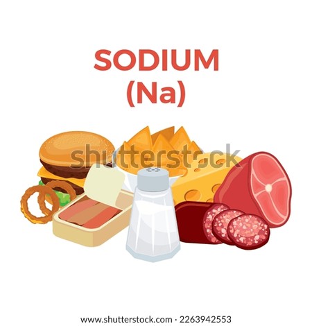 Sodium (Na) in food icon vector. Sodium food sources vector illustration isolated on a white background. Salt, hamburger, ham, cheese, salty foods vector. Pile of healthy fresh food drawing