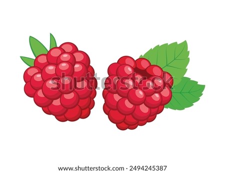 Ripe raspberry with leaves icon set vector isolated on white background. Ripe raspberries with leaves vector illustration. Template for background, banner, card. Raspberry fruit drawing