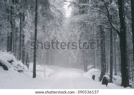 Similar – Image, Stock Photo Snowy hiking trail with legs