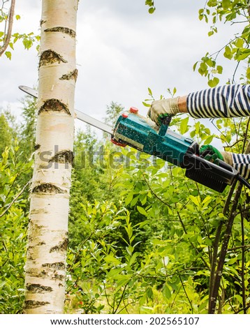 man cut away fresh birch against the sky, using electric chainsaws