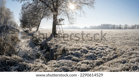 Similar – Foto Bild Der Baum steht