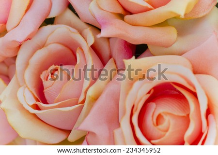 roses art of cloth