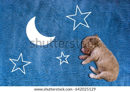 Similar – Image, Stock Photo fetch the moon from the sky