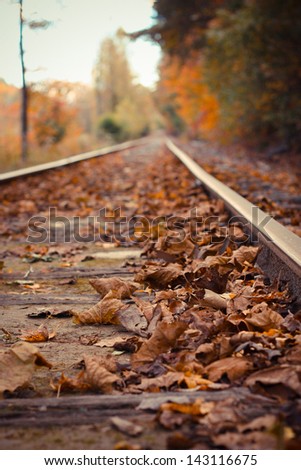 A close up shot of railroad tracks running through autumn woods in Blue Ridge, Georgia