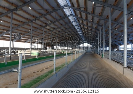Construction of a large barn on the farm. Modern barn for dairy cows Foto d'archivio © 