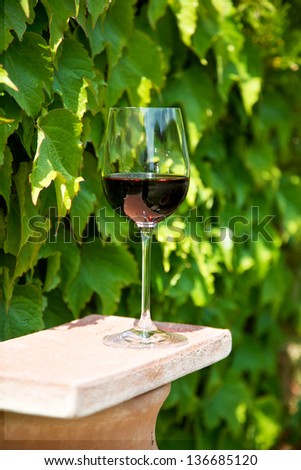 Red wine in  a wine glass in vineyard