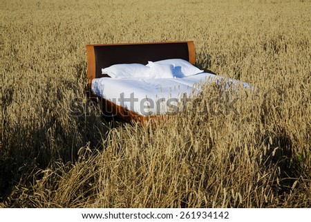 bed in a grain field- concept of good sleep