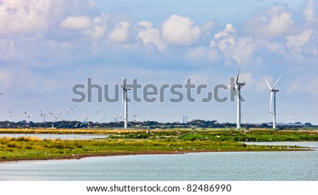 Near Esbjerg, Denmark is a very big windmill farm.