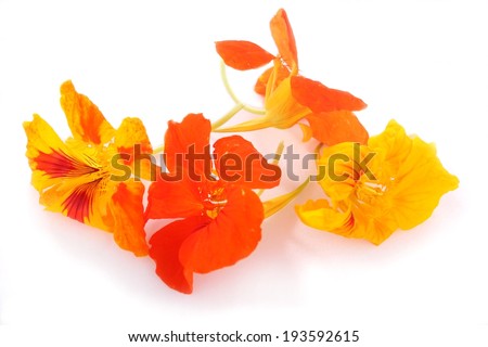 Edible Flowers Stock Photo 193592615 : Shutterstock