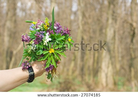 hand holding flowers