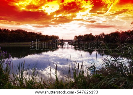 Beautiful sunset in Natural Park Comana in Giurgiu, Romania. Comana became protected area since 30 noiembrie 2004. Imagine de stoc © 
