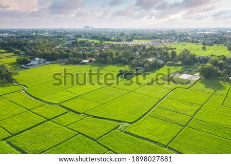 Land plot, land lot. Consist of aerial view of landscape, green field, agricultural plant, crop and ridge. Tract of land for cultivate, owned, sale, development, rent, buy or investment in Chiang Mai.