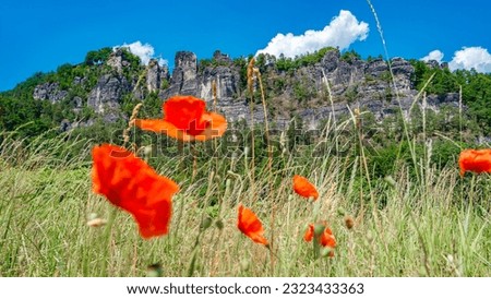 Similar – Image, Stock Photo View from Kurort Rathen to Stadt Wehlen in Saxon Switzerland