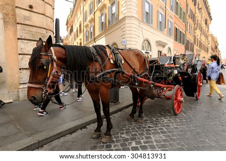 Rome, Italy May 20, 2015: Horse, carriage horses, with coachman and bridle