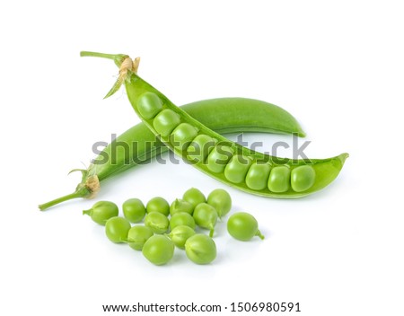 Sugar Pea, Pisum sativum  isolated on a white background. Zdjęcia stock © 