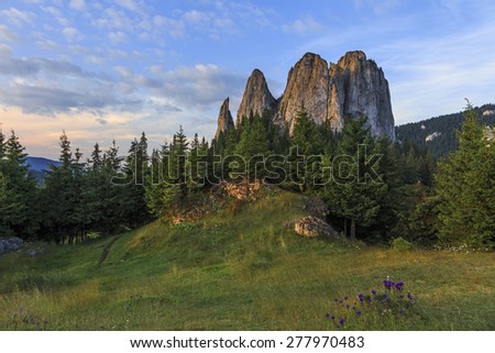 Alpine meadow and flowers with rocky cliff in background