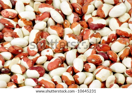 Red and White Beans as Background. Picture shot in Studio