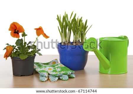 Flowerpots with garden tools isolated on white background