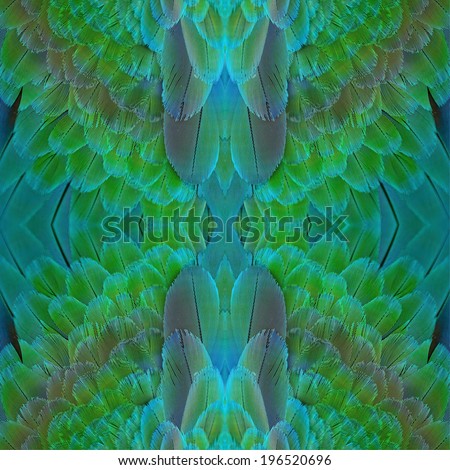 Beautiful green and blue bird feathers, Harlequin Macaw feathers