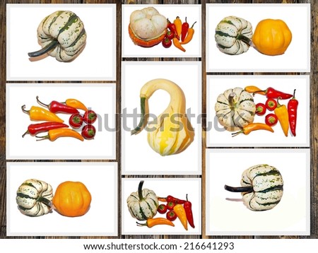 Autumn pumpkins - Decorative pumpkin and vegetables - photo collage