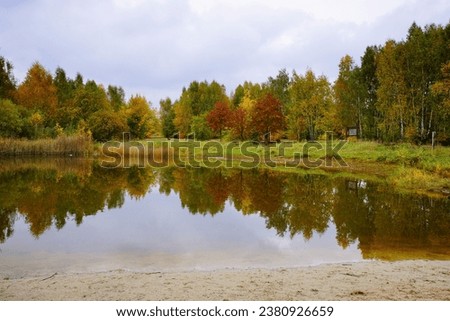 Magiczna jesień w pochmurny dzień. Small pond in the autumn park Zdjęcia stock © 