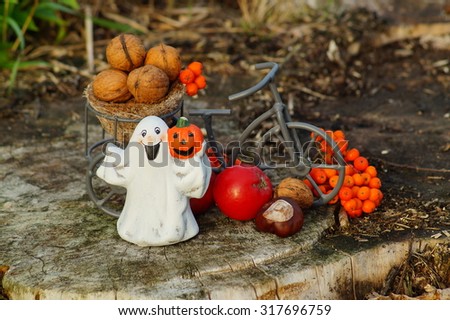 Halloween autumn decorations - walnuts  and fruits in the garden, in the light of the setting sun
