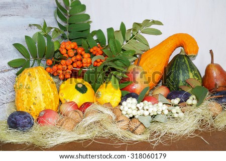 Decorative pumpkin and vegetables - autumn decoration in the kitchen