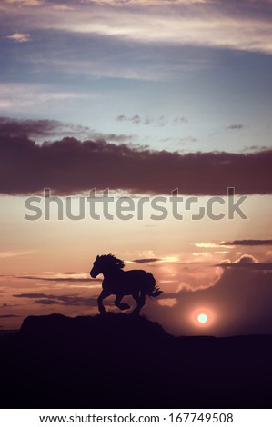 Horse silhouette running under cloudy sunset