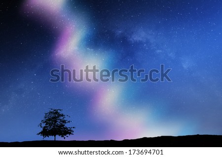 Aurora borealis landscape, Northern Lights with alone tree