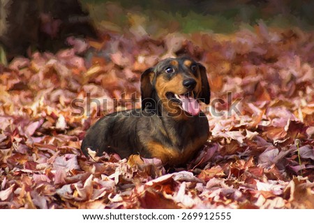 Digital art, artistic oil paint composition Teckel dog Daschund, on autumn leaves