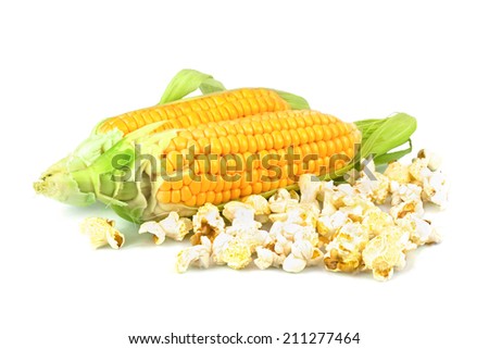 Macro view of maize and popcorn isolated on white background