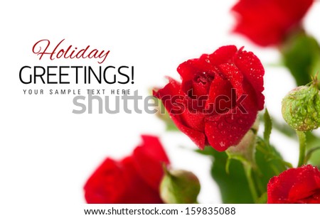 red rose with green leaves isolated on white background, red rose with green leaves isolated on white background