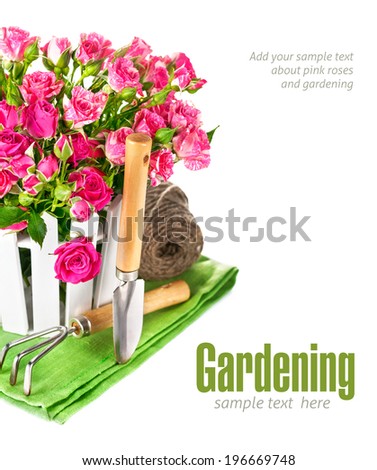 Pink roses with garden tools. Isolated on white background