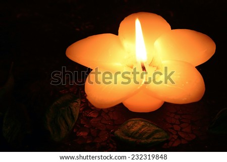 Flower-shaped candle burning on a black background