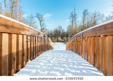 Snow on wooden bridge in forest area