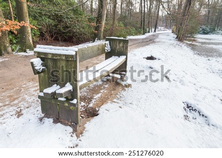Wooden bench in forest with snow