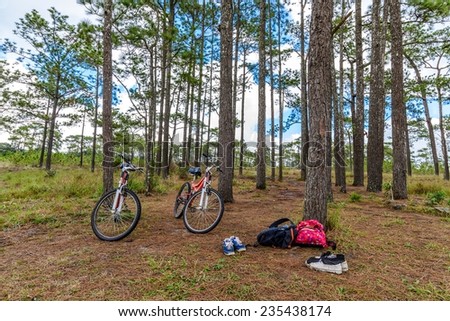Resting in pine forest with two bicycles.