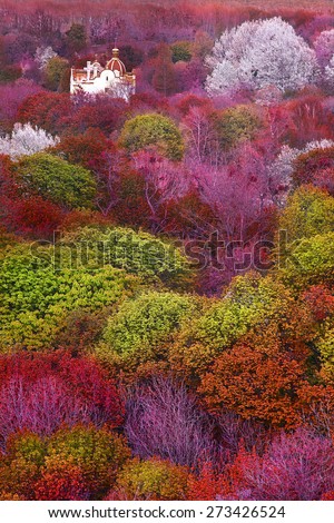 Colorful Mystical Landscape with green purple orange and white trees