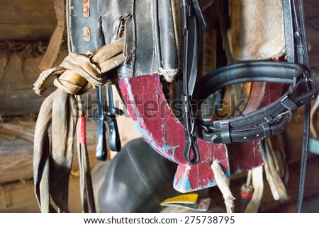 stable horse equipment in a tack room