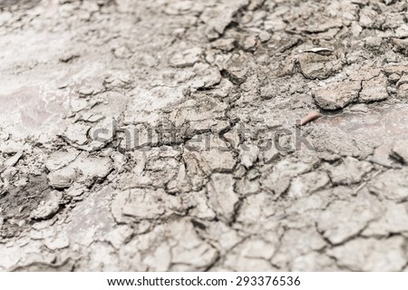 Close up Cracked clay textured background