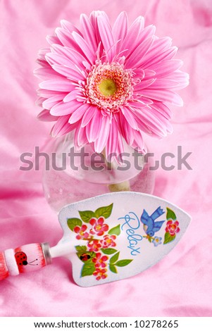Pink flower in vase with pink decorative spade on pink satin background