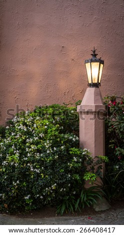San Francisco  light post in a garden